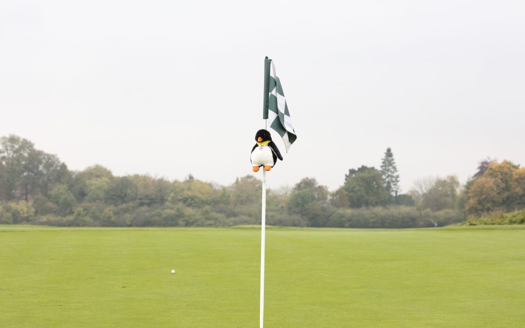 Golf Day Official pictures by Jason Candlin of Silverbeard Images