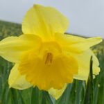 Spring Research News!
